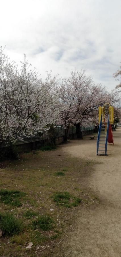 Cherry Blossom Koseicho أوكاياما المظهر الخارجي الصورة